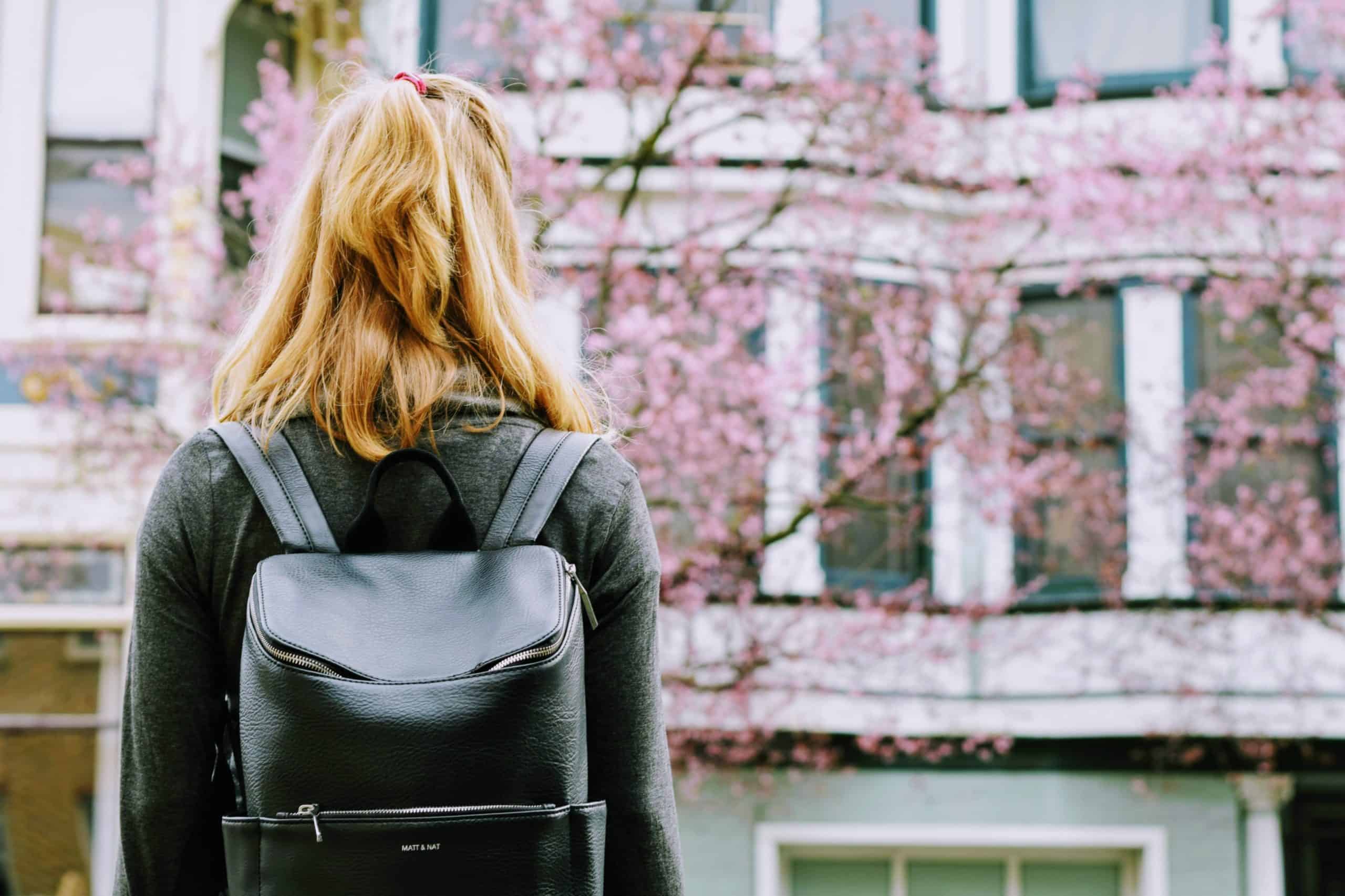 Universities with the Best Web Design Programs
