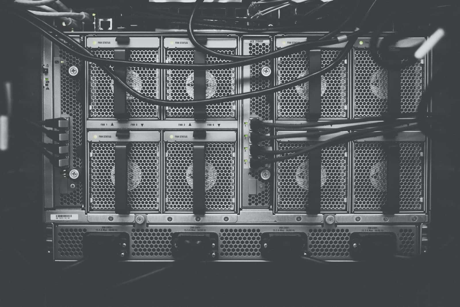 3 Essential Things to Look for in a Web Server Host