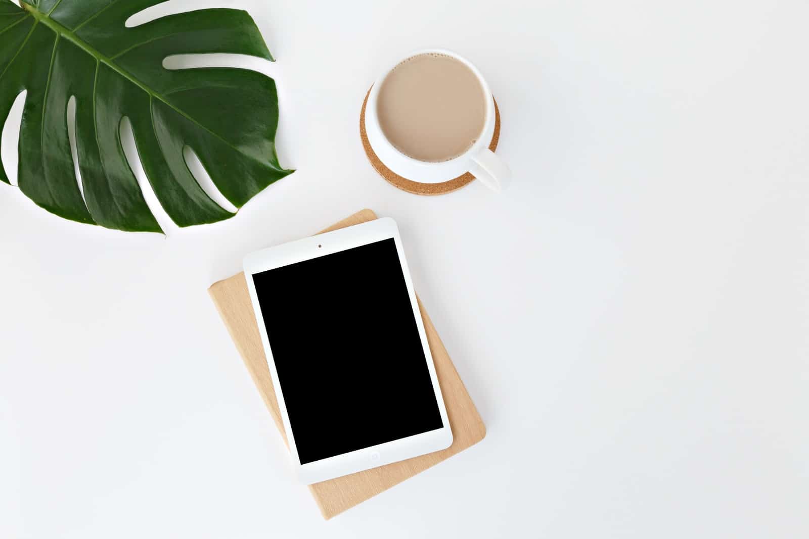 Focus sur l’éco-conception web