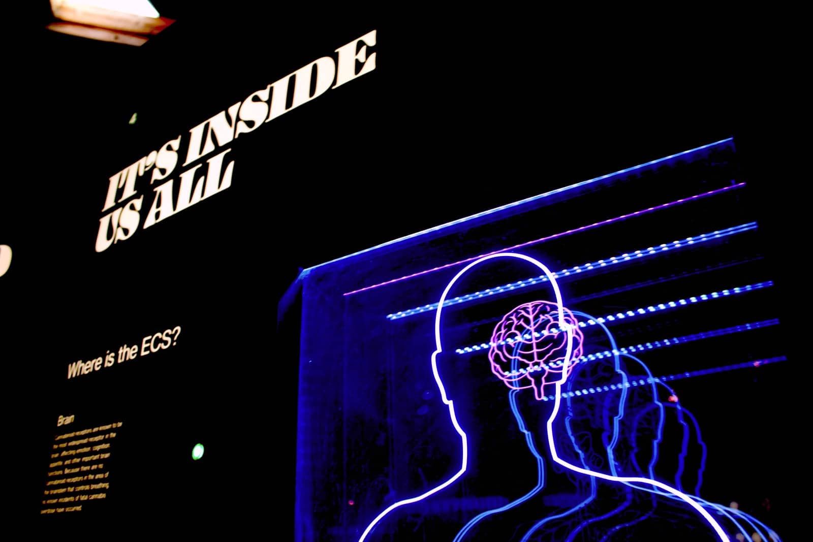Advance UX by Understanding Human Psychology
