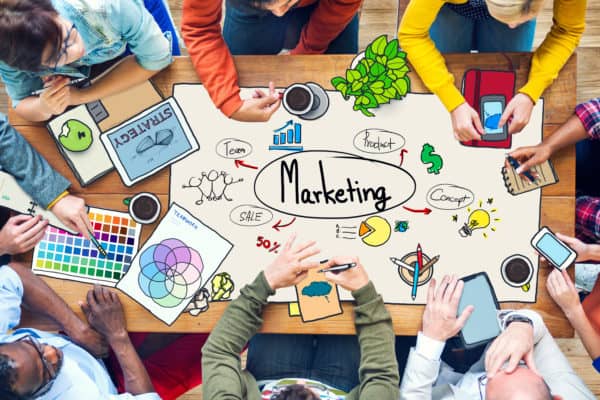Marketing team