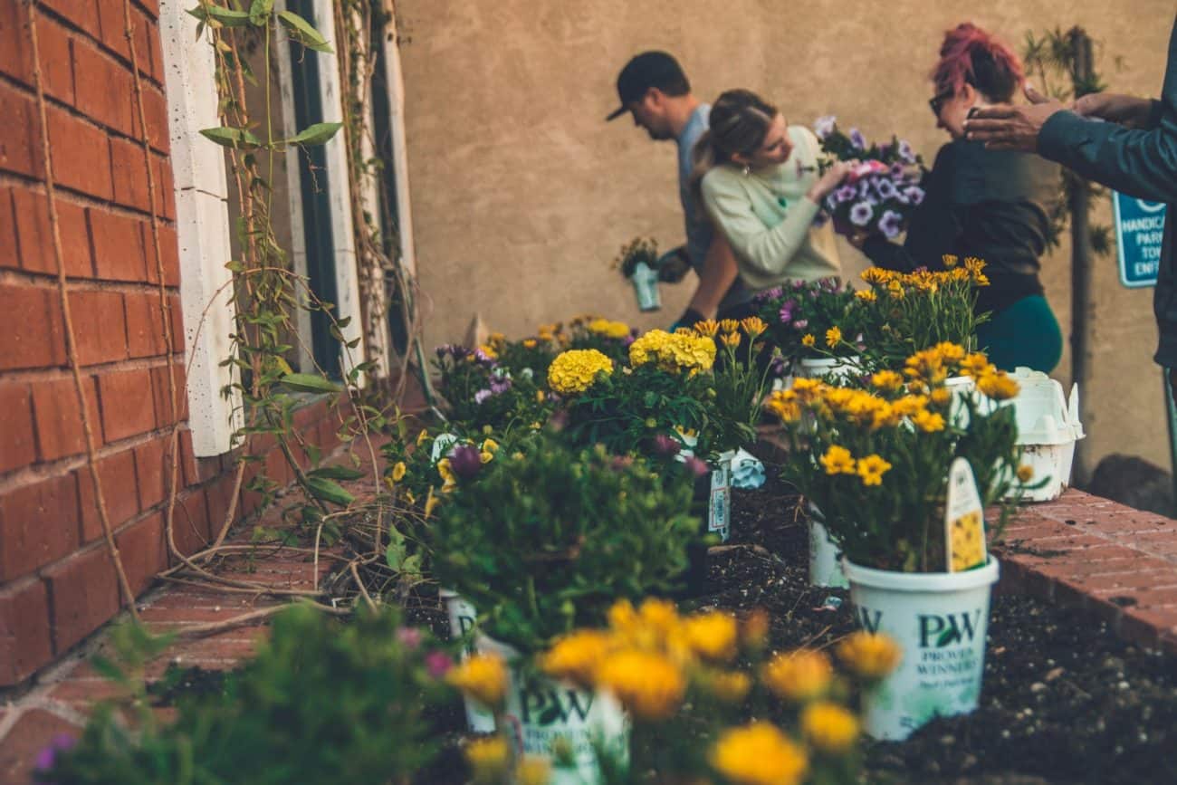 Flower shop
