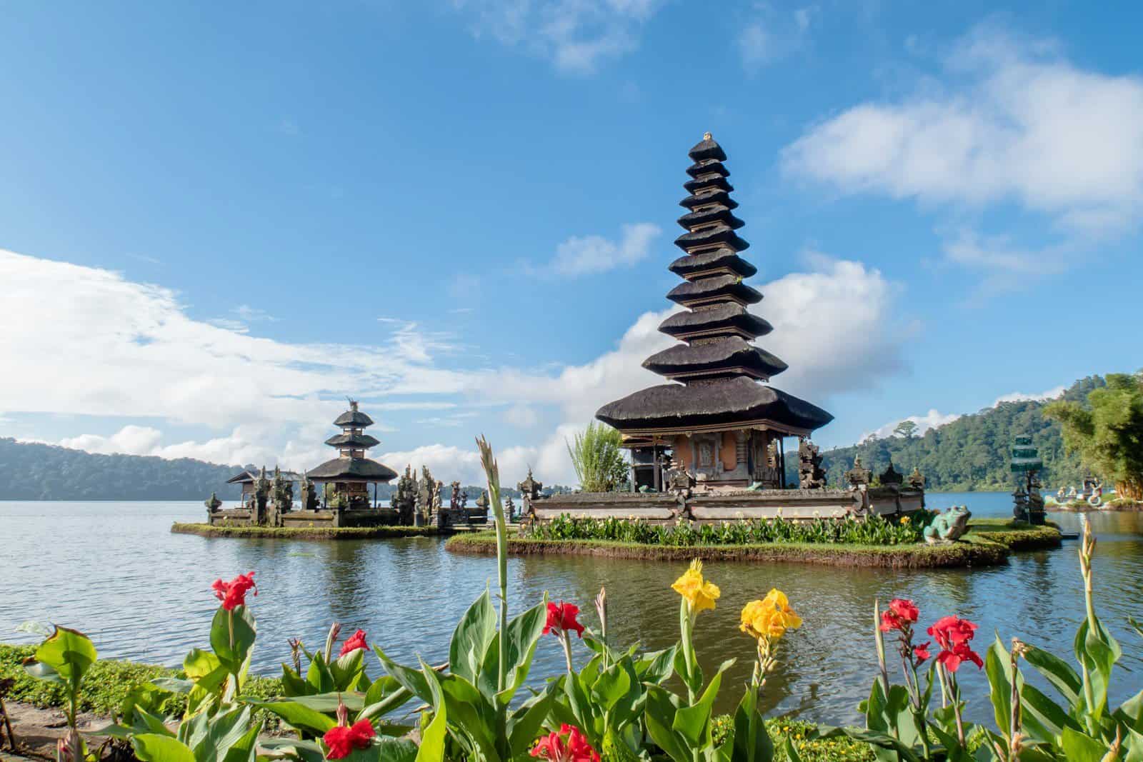 5 Tips to Launch Your Web Design Freelance Business from Indonesia