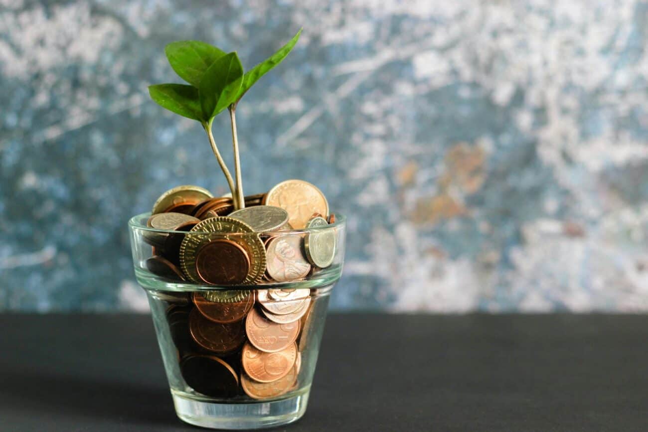budg