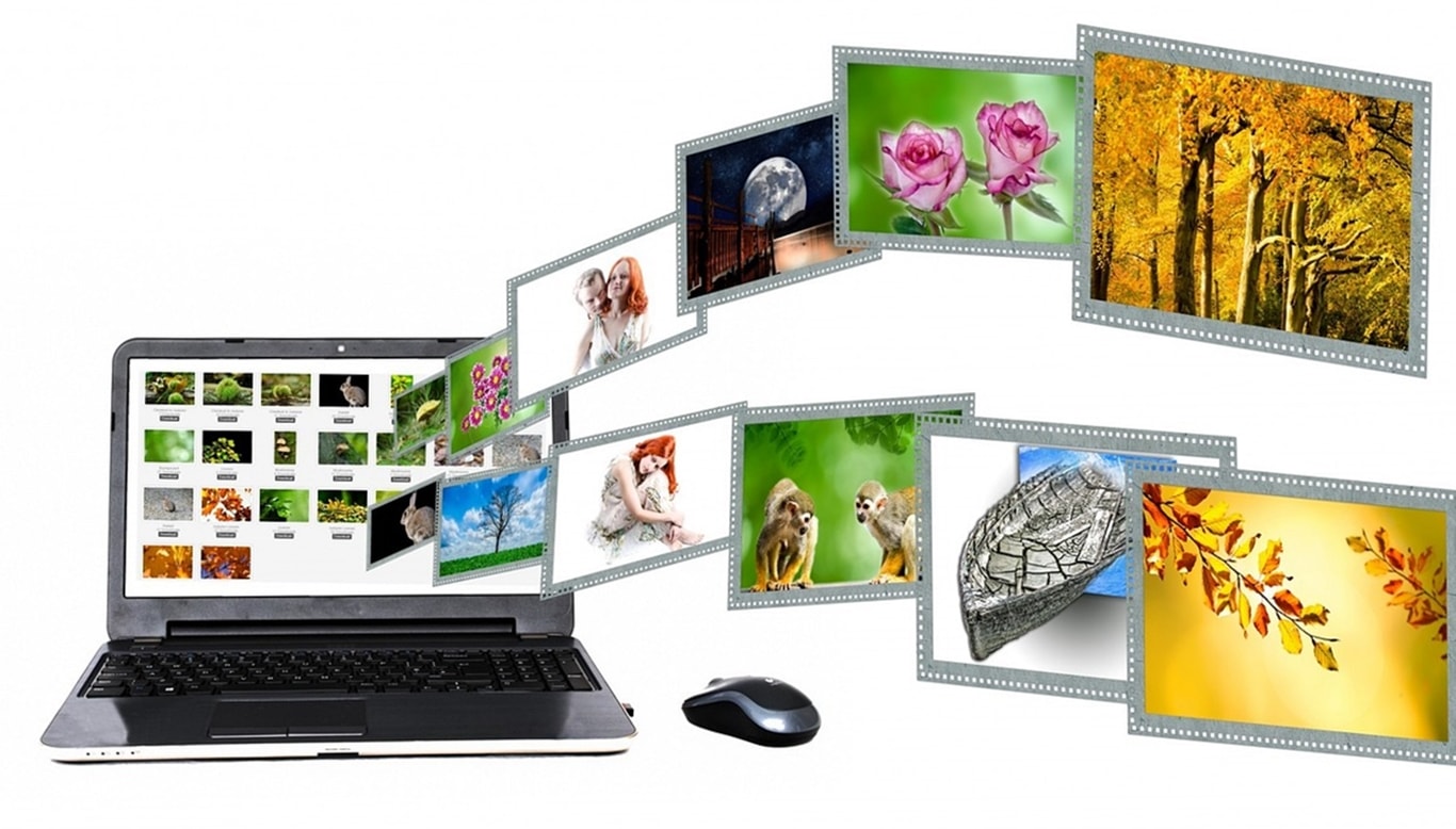 Where to Get Free Stock Images for Your Corporate Website This 2023