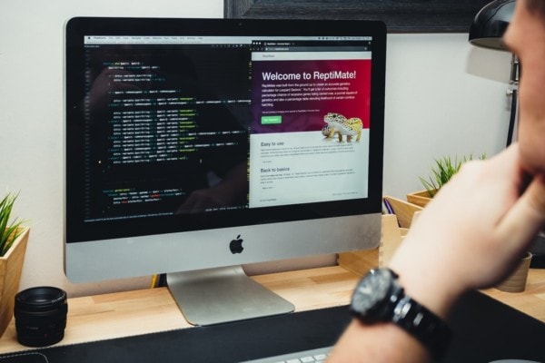 Web Design and SEO