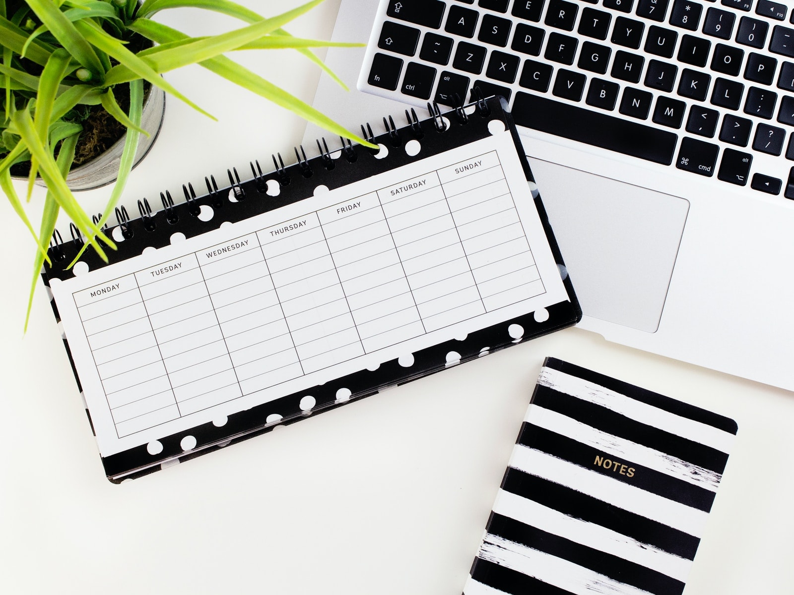Todoist Management Tool Review