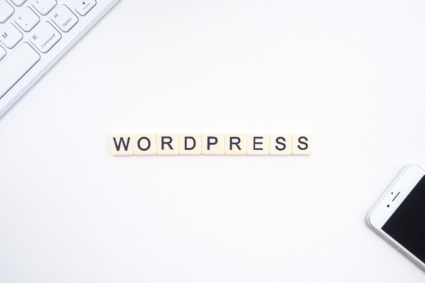 Wordpress text