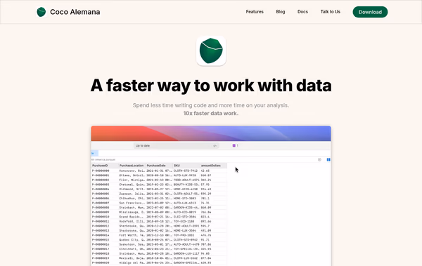 Coco Alemana – A faster way to work with data Web Design