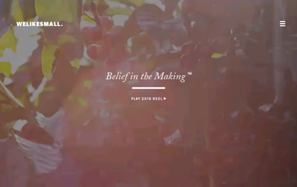 Welikesmall • Belief in the Making Web Design