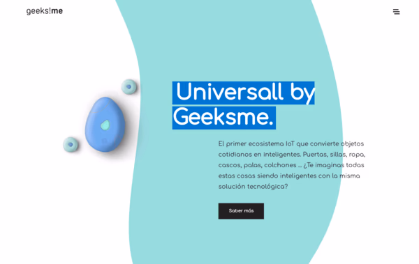Geeksme Web Design