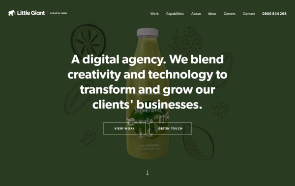 Little Giant, Digital Agency Auckland, NZ  Web Design