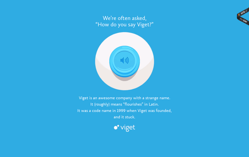 Say Viget