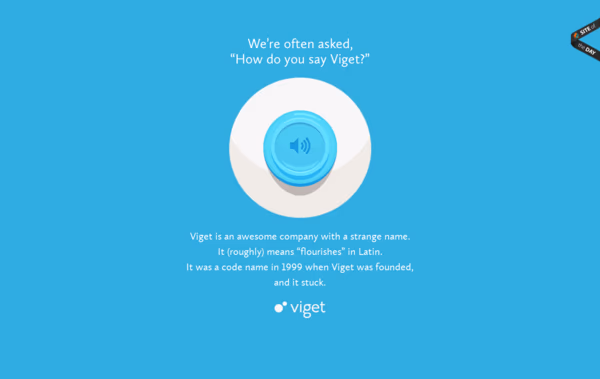 Say Viget Web Design