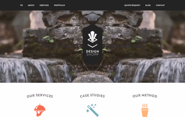 Design Shopp Web Design