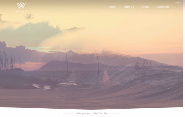 What You Are Web Design