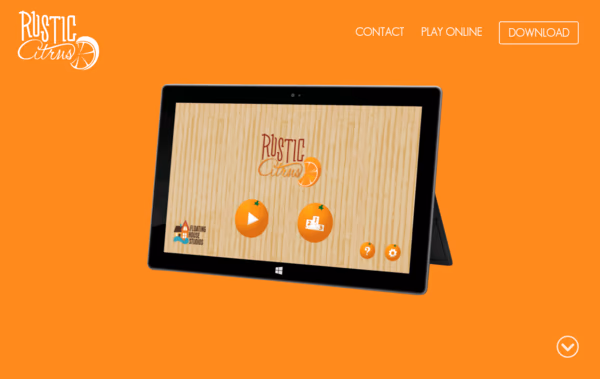 Rustic Citrus Web Design
