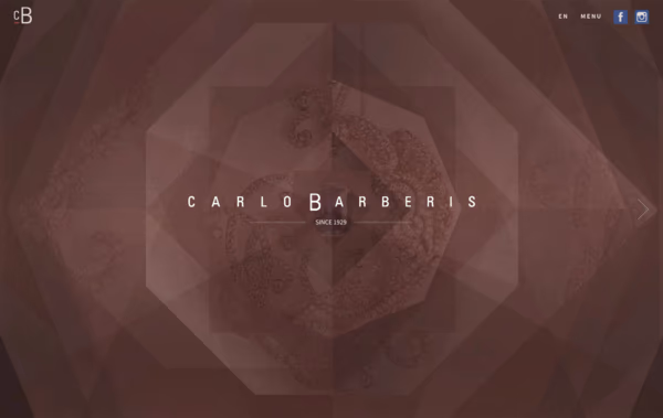 Carlo Barberis Web Design