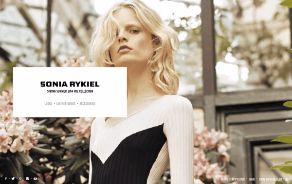 Sonia Rykiel Web Design