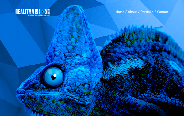 RealityVisionMedia Web Design