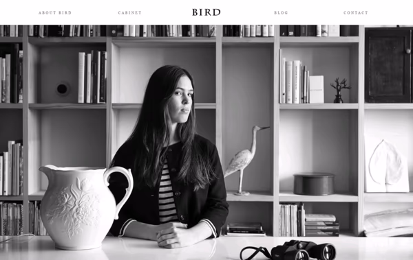 Bird Boutique Web Design