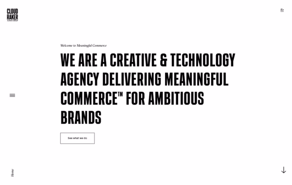CloudRaker Web Design