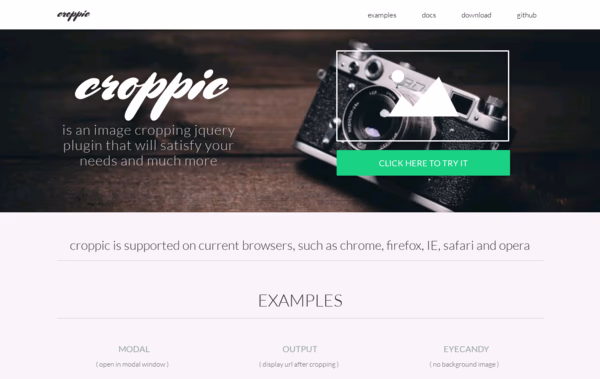 croppic Web Design