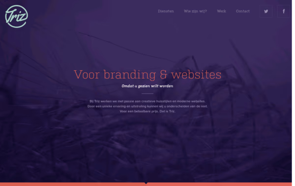 Triz - Voor branding & websites 	 Web Design