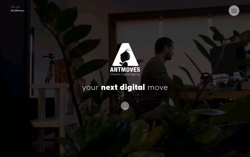 AntMoves