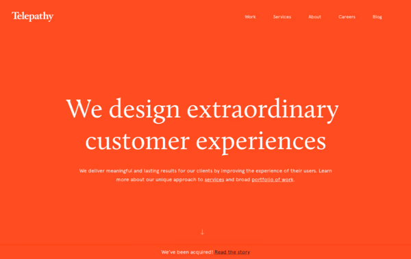 Telepathy Web Design