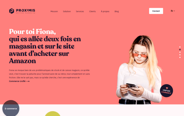 Proximis Web Design