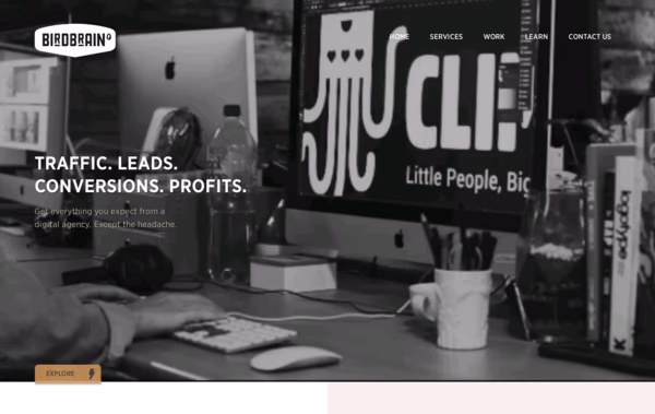 BirdBrain Digital Marketing Agency Perth Web Design