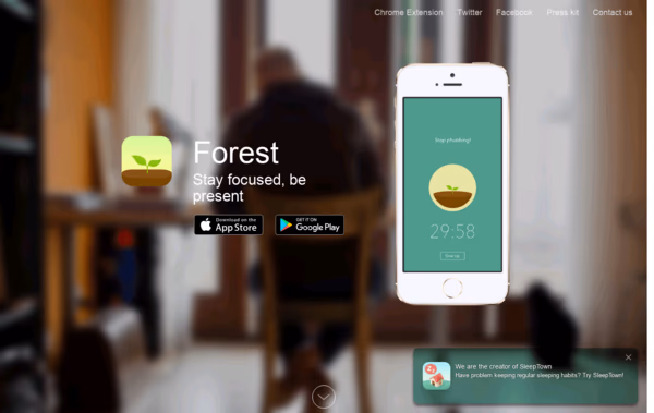 Forest Web Design