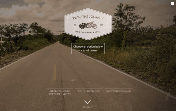 Twin Pine Journey Web Design