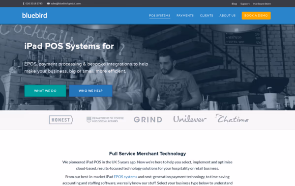 Bluebird Web Design
