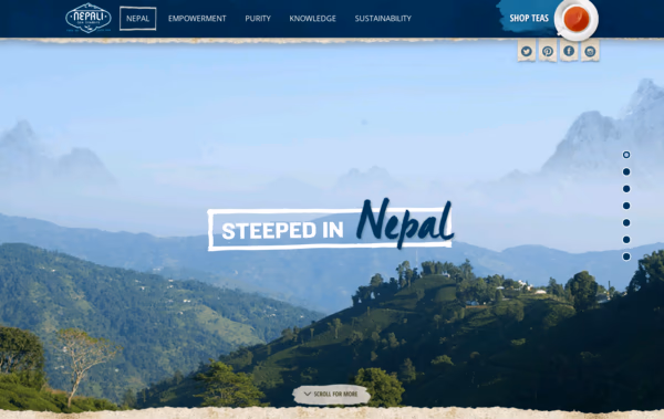 NTT Web Design