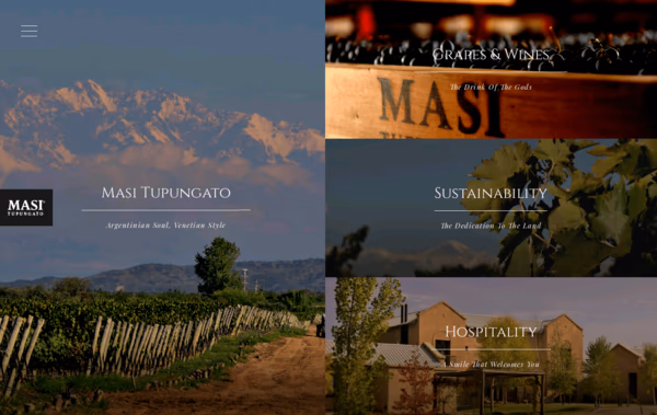 Masi Tupungato Web Design