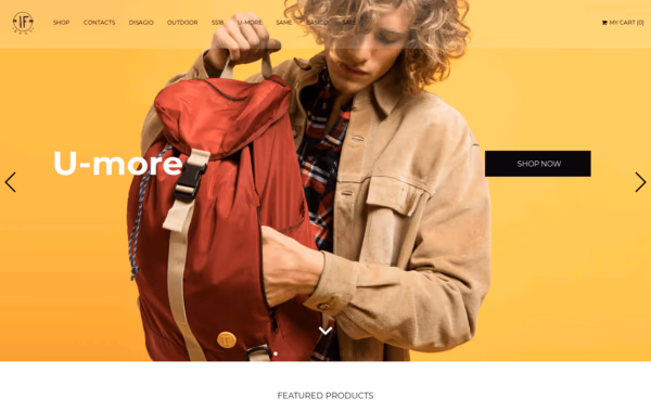 IF Bags Web Design