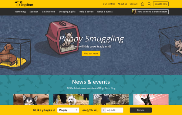 Dogs Trust Web Design