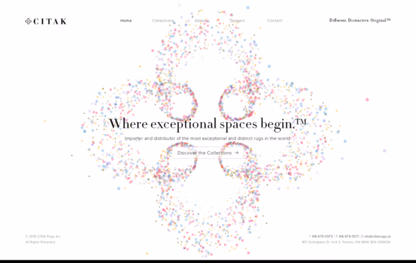 Citak Rugs Inc Web Design