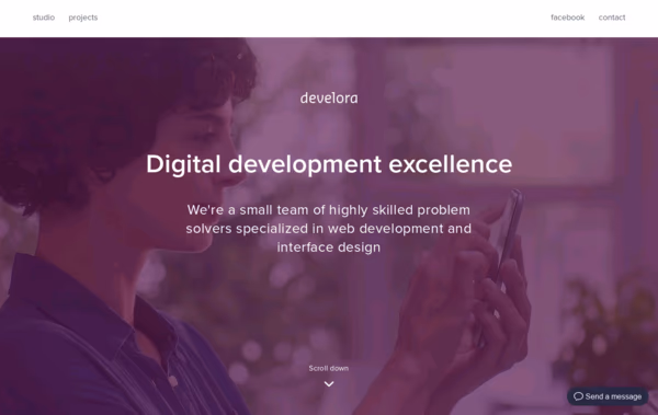 Develora Web Design