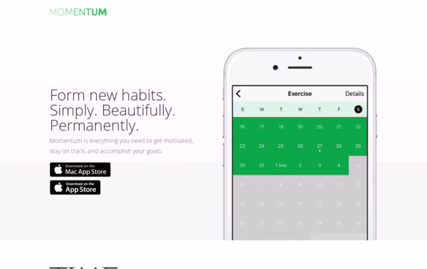 Momentum Web Design