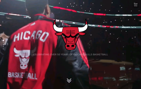 Chicago Bulls History Web Design