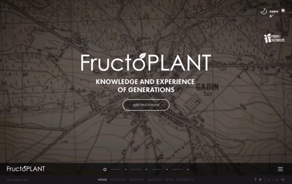 Fructoplant  Web Design