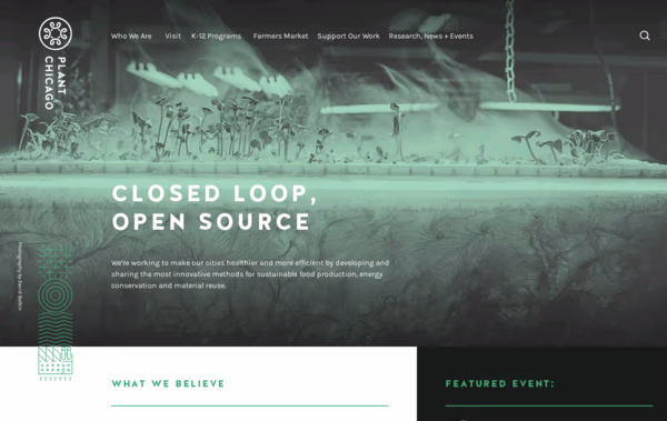 Plant Chicago Web Design
