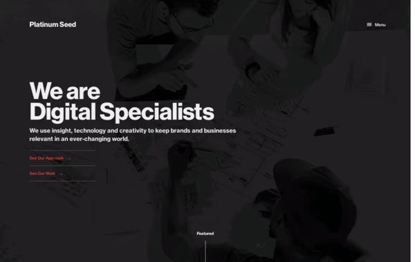 Platinum Seed Web Design
