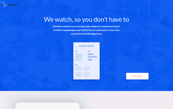 RealView Global Web Design