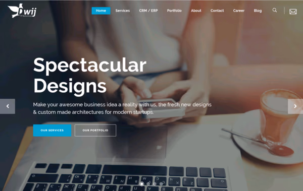 Dwij IT Solutions Web Design