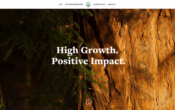 SJF Ventures Web Design
