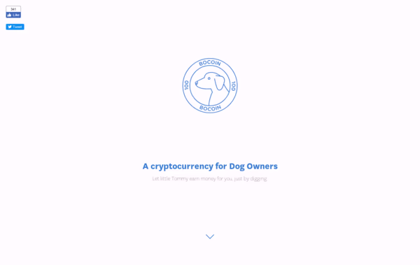 Bocoin Web Design